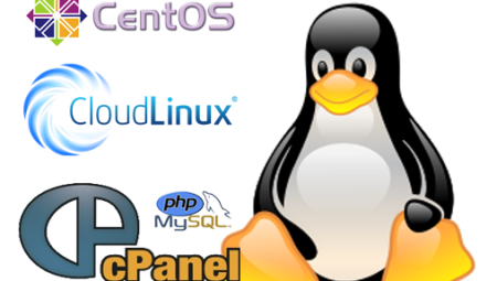 Linux Bayi Hosting